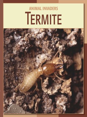 cover image of Termite